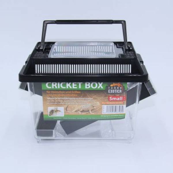 Cricket Box Verschiedene Größen